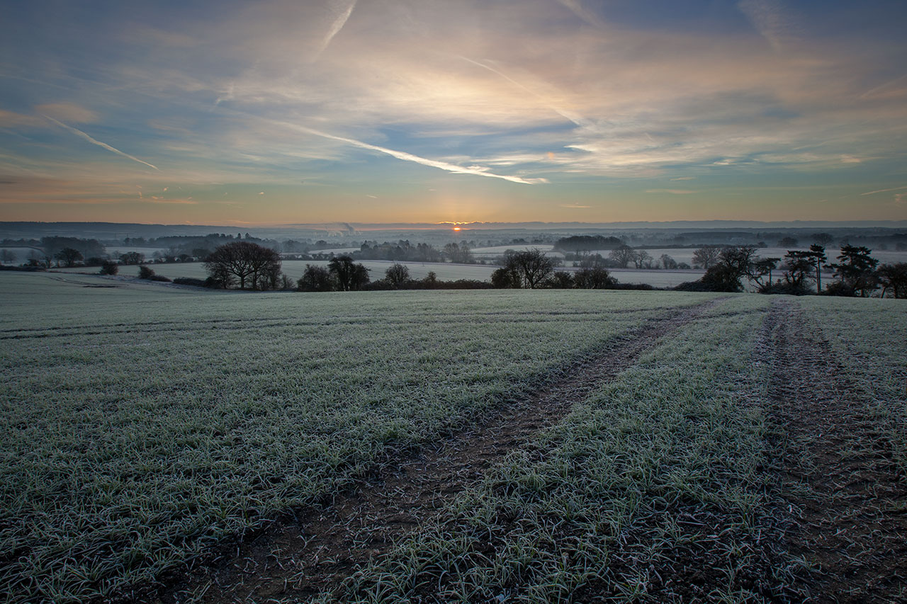 dawn at birling estate